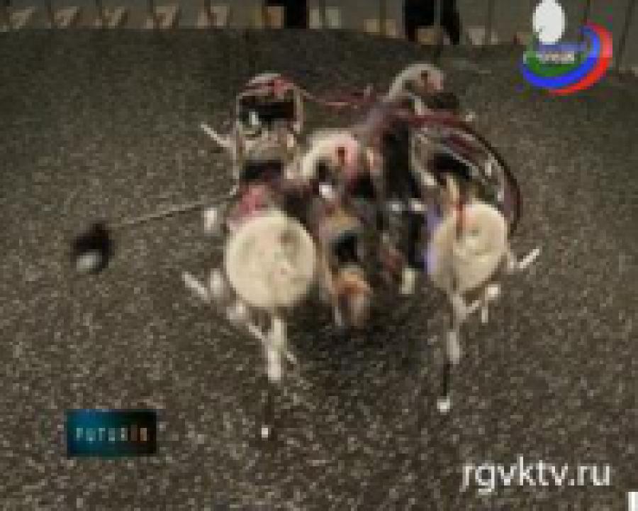 Могут ли машины научиться ходить?