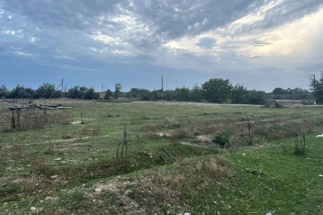 В Дербентском районе 256 гектаров земли вернули государству