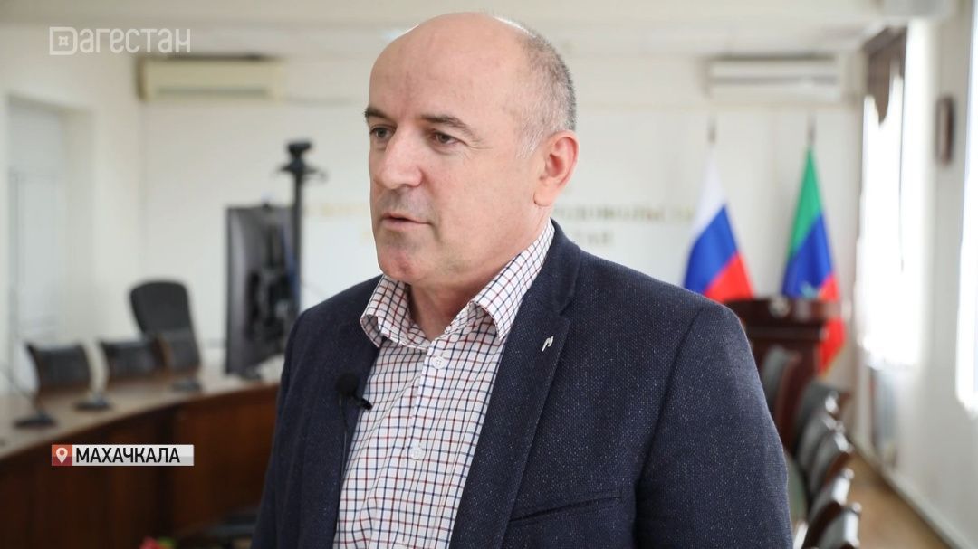 Выставка овец. Интервью с Эмином Шайхгасановым