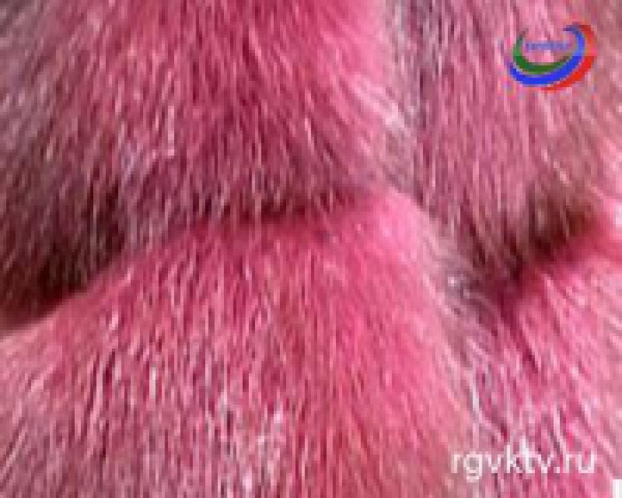  Ввозимые в Россию норковые шубы снабдят электронными чипами