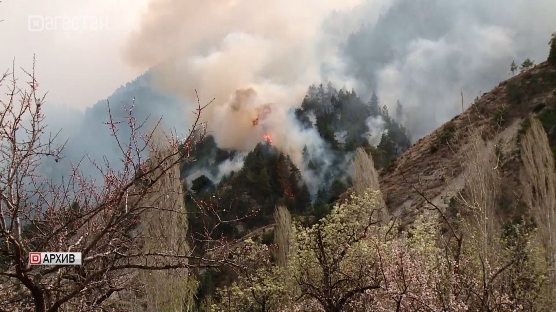В Дагестане с 1 апреля вводят пожароопасный сезон 