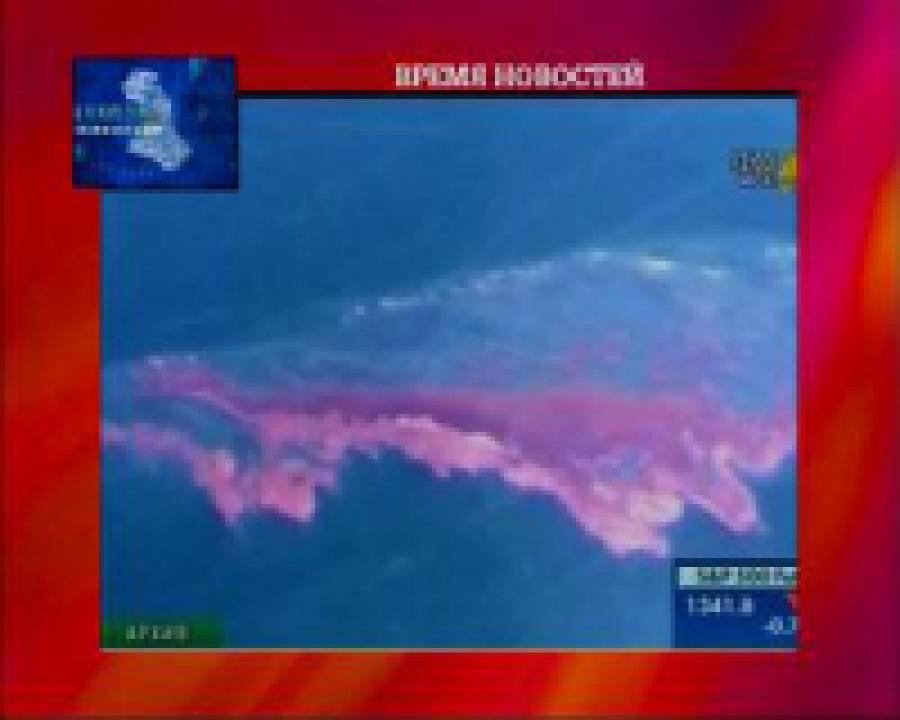 BP сократит  выплаты пострадавшим в результате разлива нефти в Мексиканском заливе