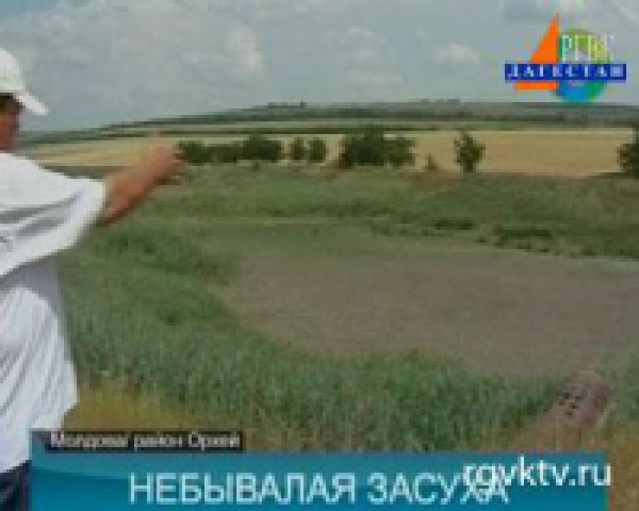 В Молдове из-за жары обмелел Днестр