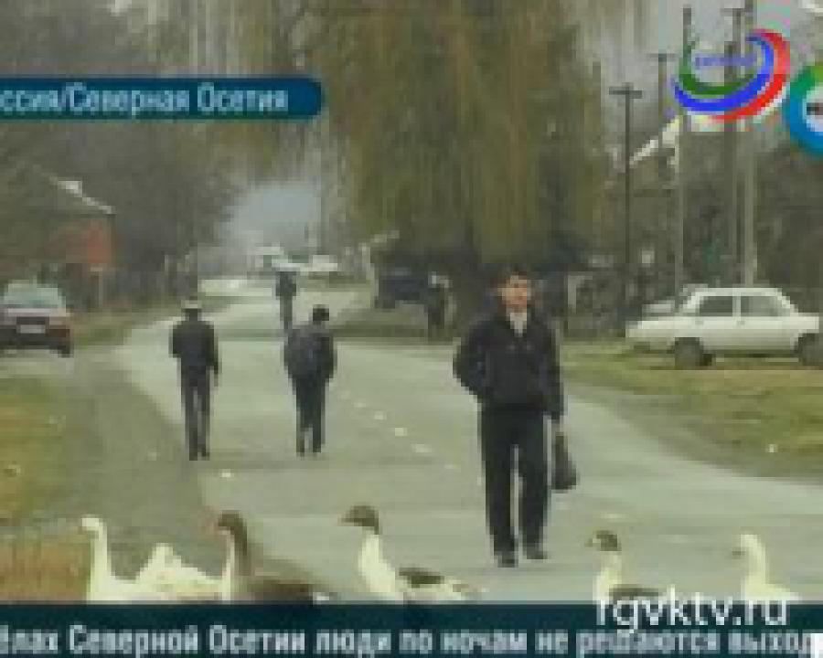 В Северной Осетии звери нападают на домашнюю скотину