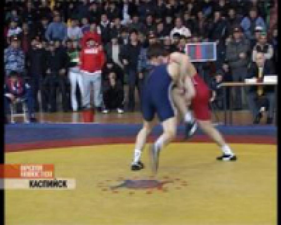 Во дворце спорта завода «Дагдизель» прошёл чемпионат Дагестана по вольной борьбе