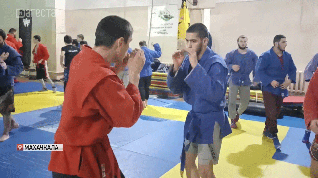 Дагестанские спортсмены готовятся к первенству России по самбо