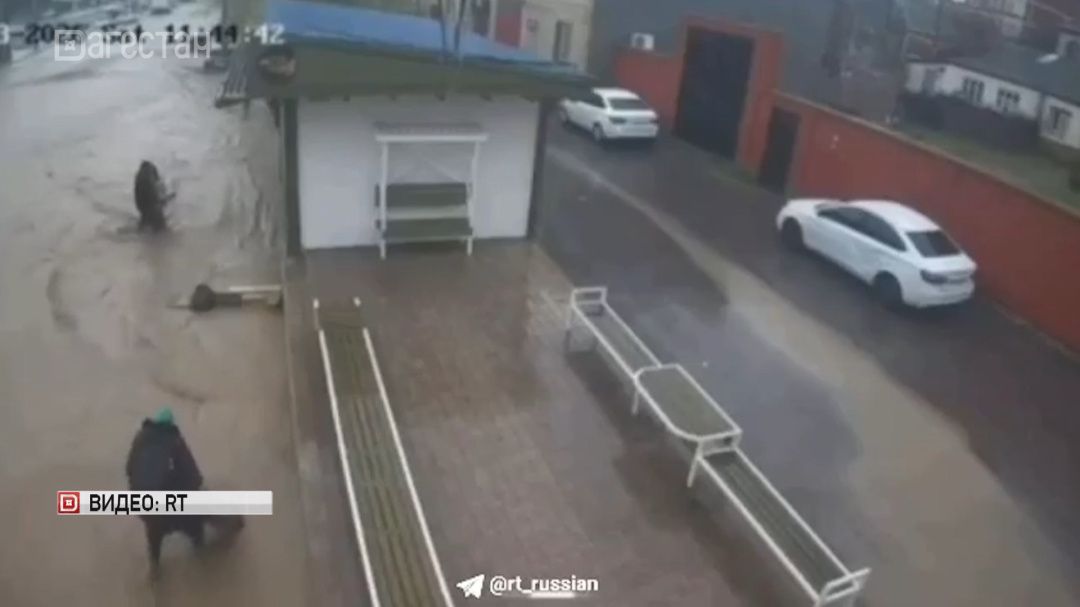 Миллион рублей получит  дагестанец, спасший  ребенка  во время потопа в Махачкале