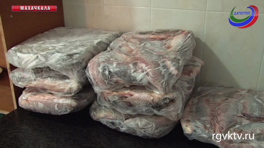 Минприроды Дагестана вручило необычный новогодний подарок интернату «Забота»