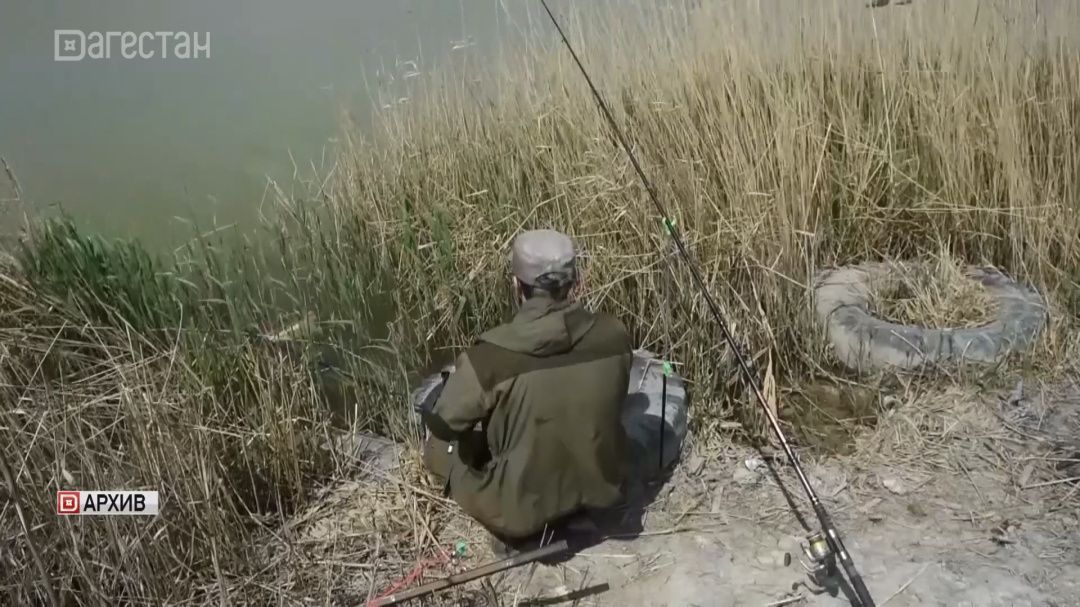 В республиках Северного Кавказа вводится запрет на любительскую рыбалку