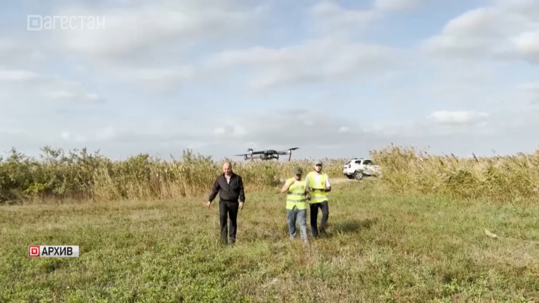 В Кизлярском районе объявлена карантинная зона из-за амброзии