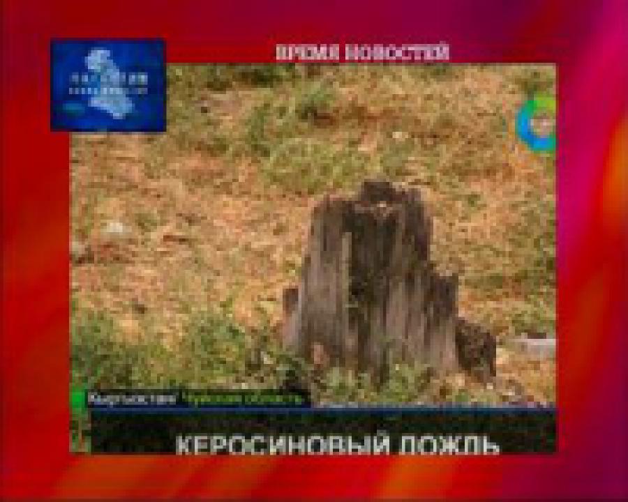 Фермеры и экологи Киргизии обвиняют США в потере урожая