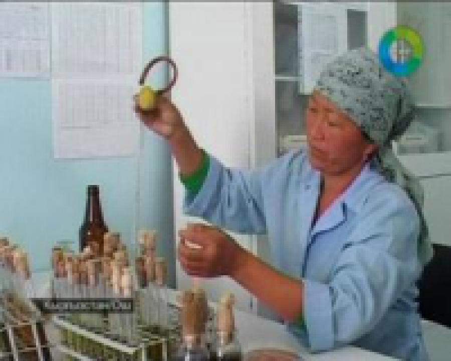 Стихия оставила жителей Оша без питьевой воды