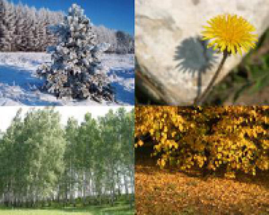 Интервью с главным синоптиком Дагестана