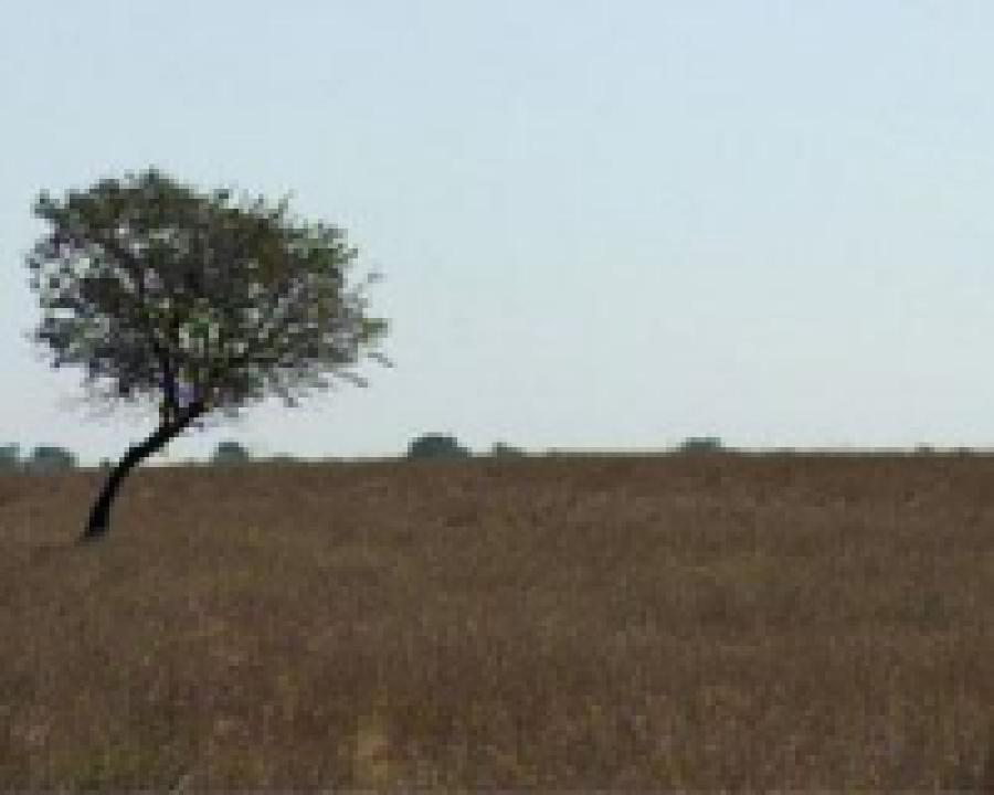 Дагестан - мой край родной