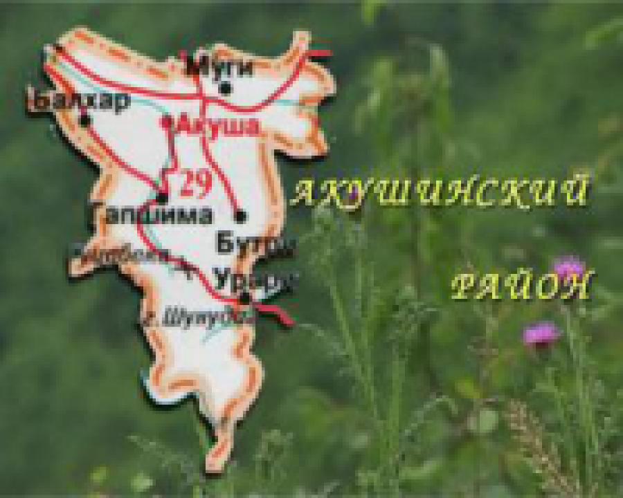 Проект "Отражение". Дагестан - мой край родной