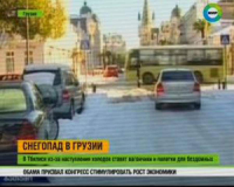 Снегопад в Грузии. Спасатели переведены на усиленный режим работы