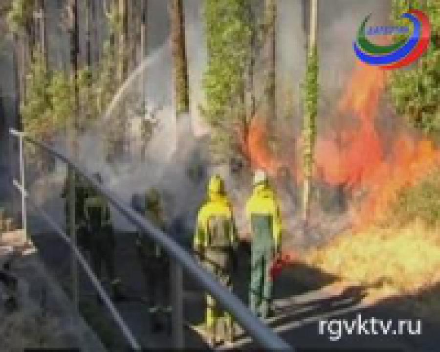 В испанской Галисии до сих пор не удаётся ликвидировать 3 крупных лесных пожара