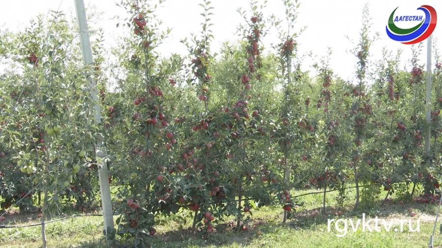 Агросектор.  «Школа фермеров»