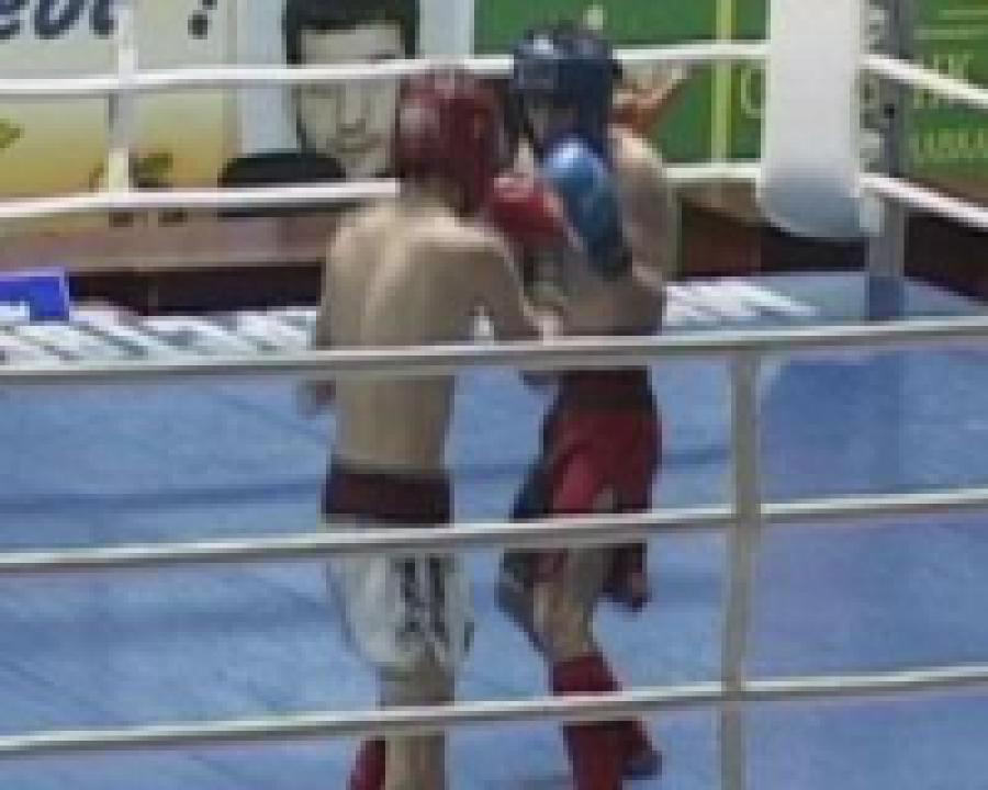 В Саликамске прошёл Чемпионат и Первенство России по кикбоксингу в разделе лоу-кик