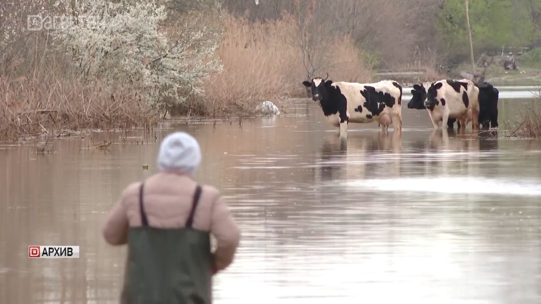 Глава Минсельхоза РФ Оксана Лут отметила стабильность ценовой ситуации в Дагестане на фоне паводков 