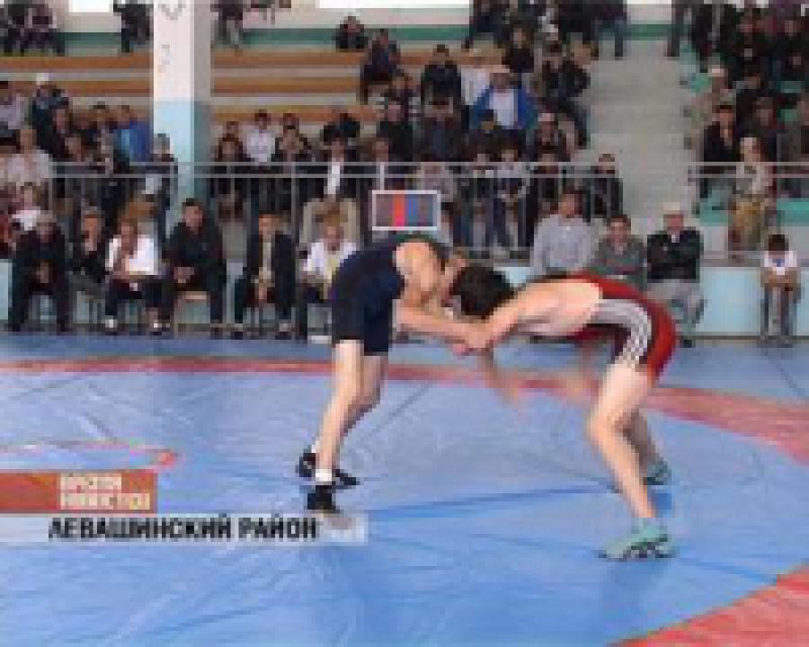 ШВСМ продолжает удивлять