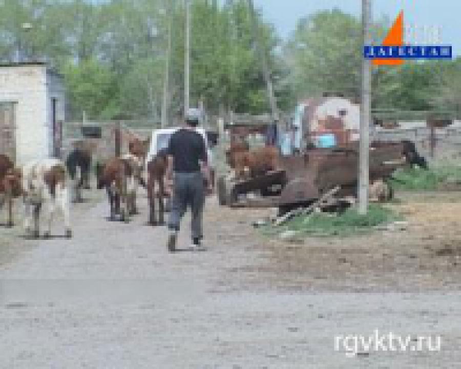 «Россельхозбанк» предлагает кредит «Стань фермером»