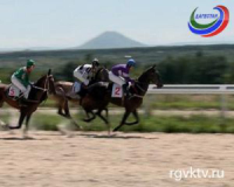 Золотой мустанг