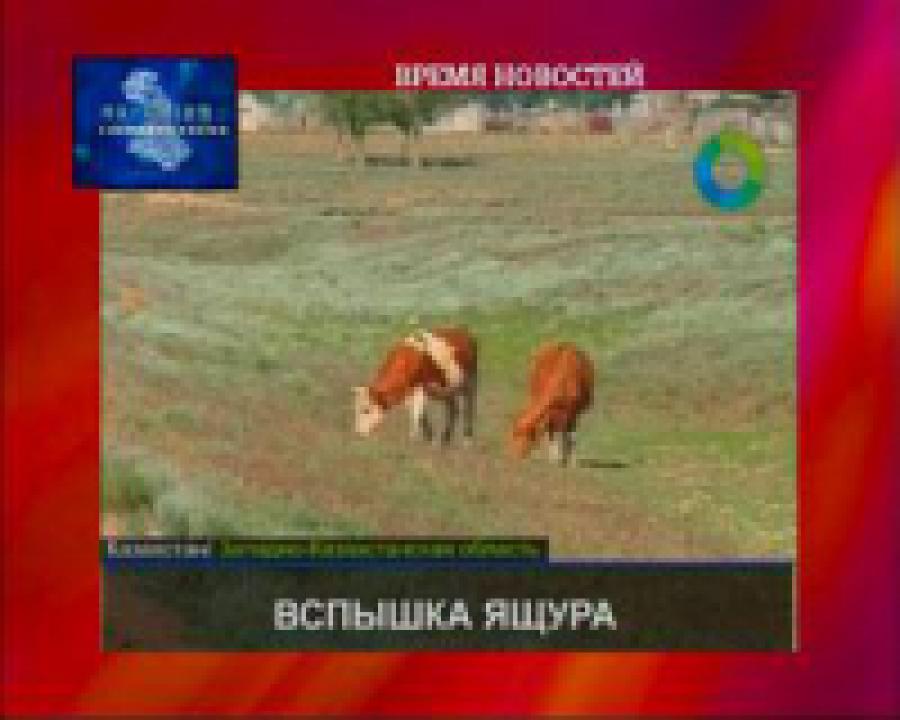 В Казахстане вспышка ящура 