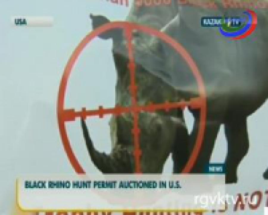 В США продали  лицензию на отстрел черного носорога