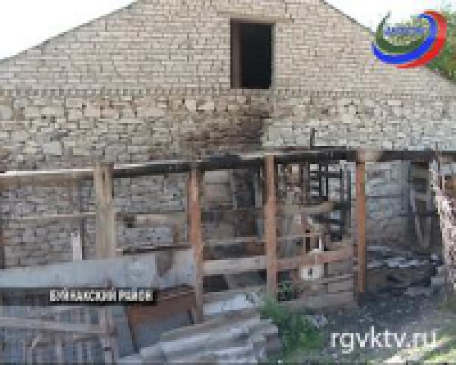 Мистика или реальность?