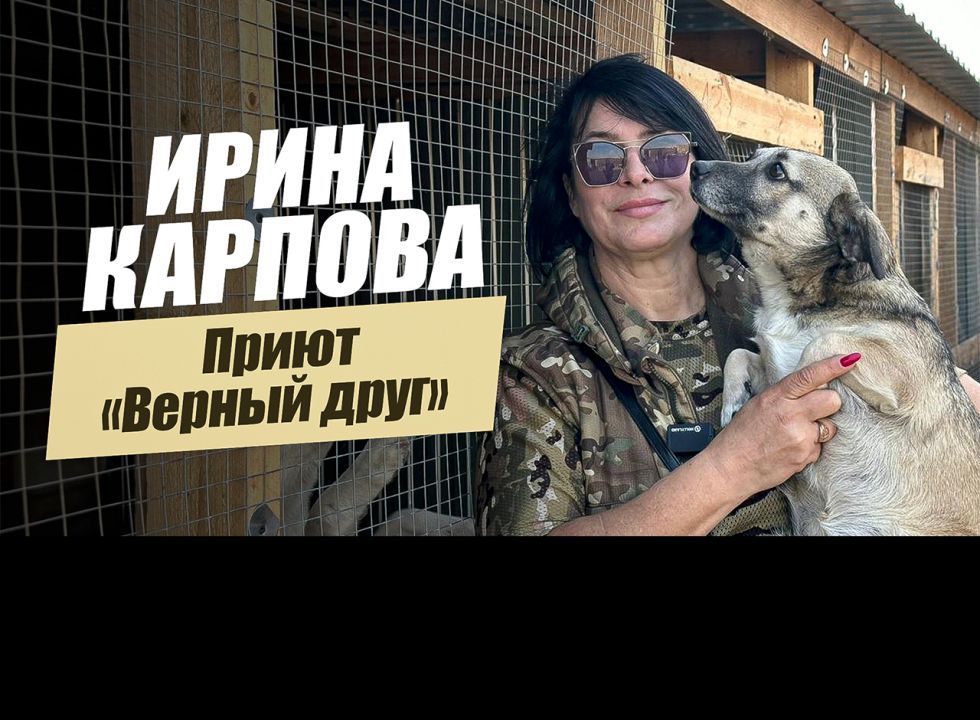 «Приют «Верный друг». Ирина Карпова».  «Удивительные горцы» 