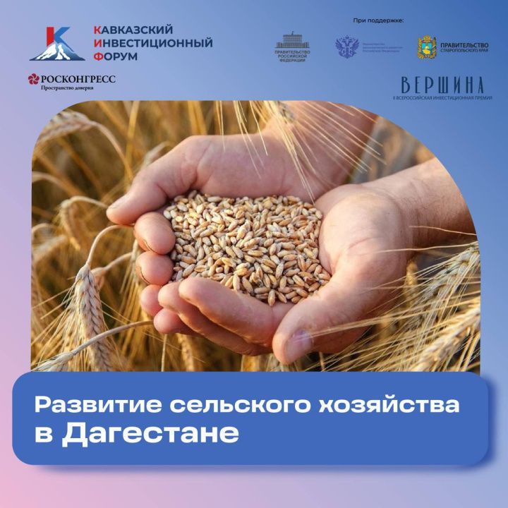 В 2025-м в Дагестане будет засеяно черным тмином 20 га сельхозугодий