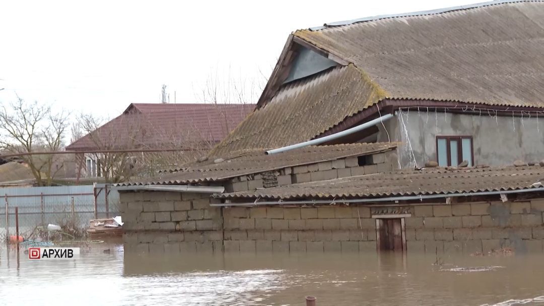 Сбор для Дагестана в приложении Tooba увеличен до 1 млрд рублей