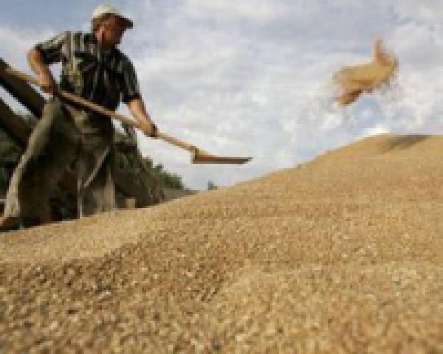 Медведев согласен с планом спасения аграриев от ВТО