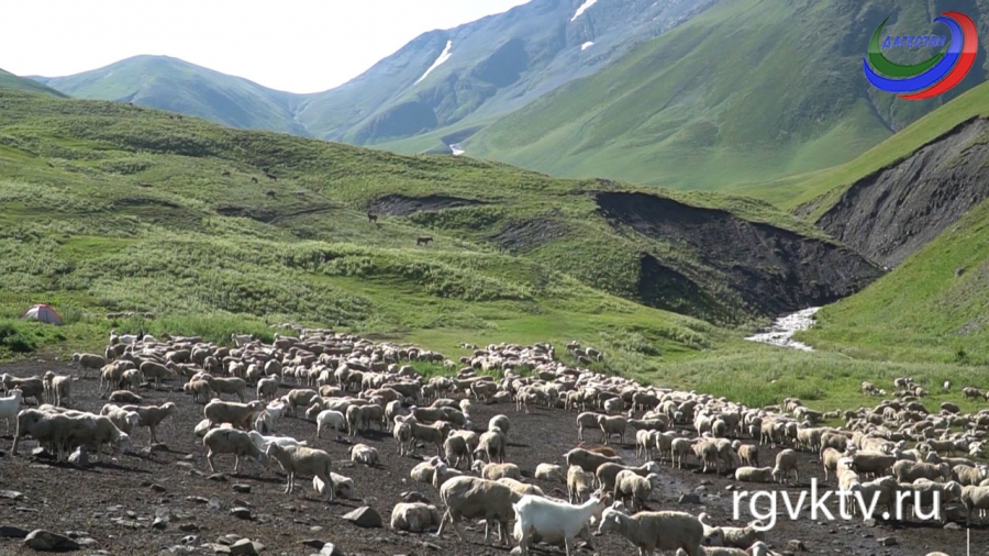 Агросектор