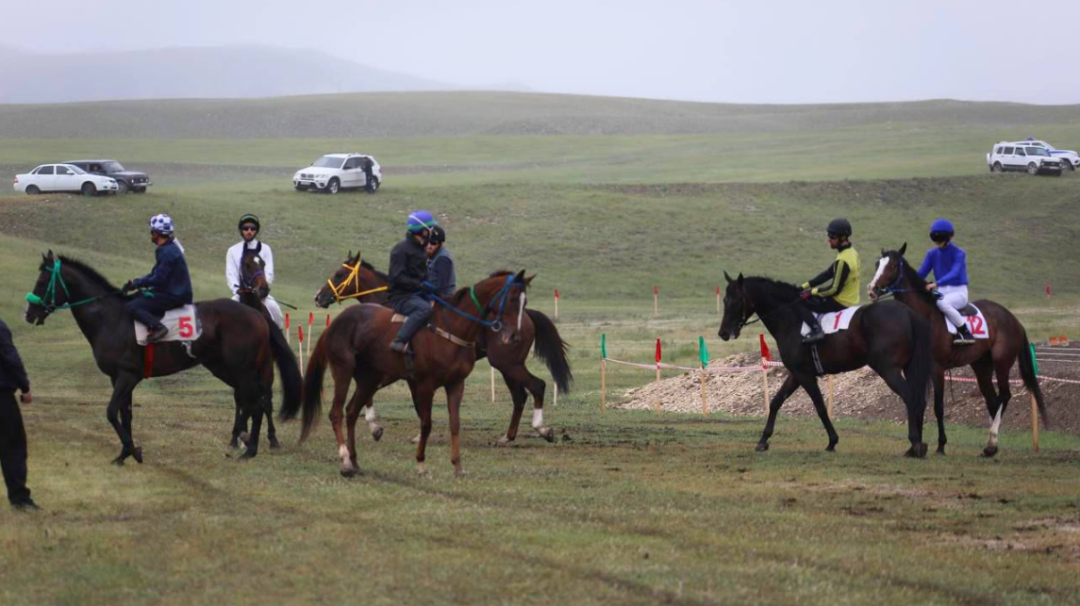 Скачки, метание гири, бег и армрестлинг: фестиваль в Левашах 