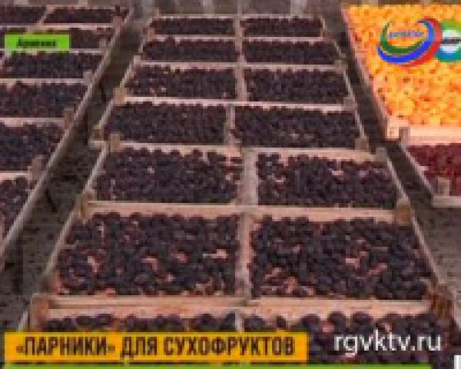 В Армении изобрели экологичный способ приготовления сухофруктов