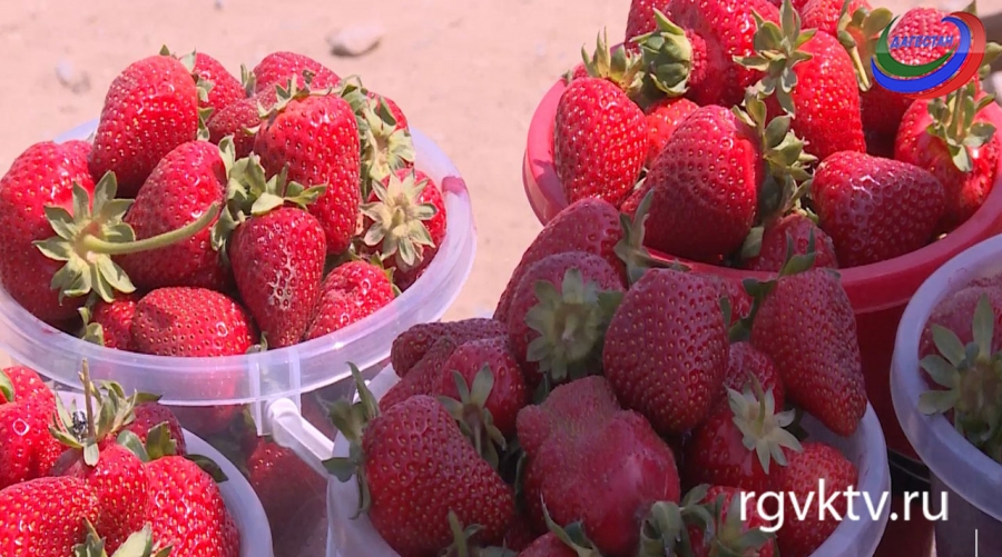 Агросектор