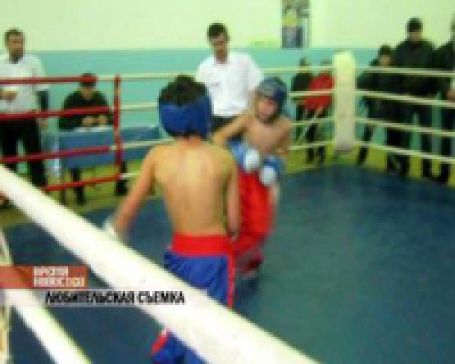 В столице Дагестана  прошло первенство Махачкалы по кикбоксингу среди юношей