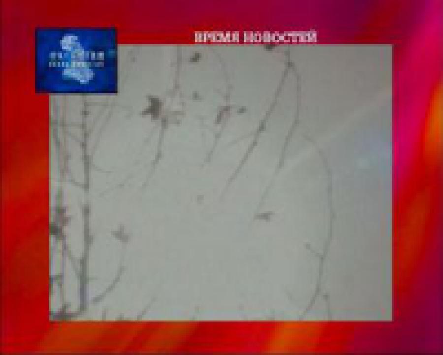 В  Китае объявлена тепловая тревога