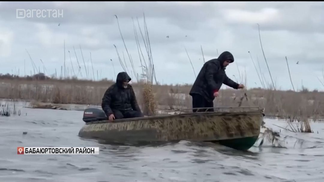 Сотрудники Росрыболовства очистили  Аракумское нерестилище от браконьерских снастей