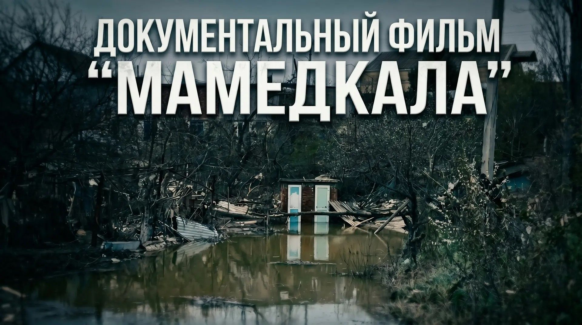 «МАМЕДКАЛА» 
