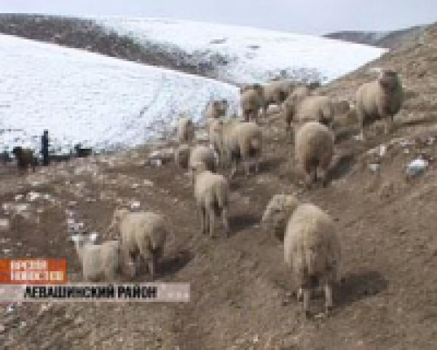 Число инвестиций в АПК республики неуклонно растет