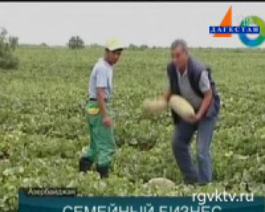 Власти Азербайджана будут поощрять семейный бизнес