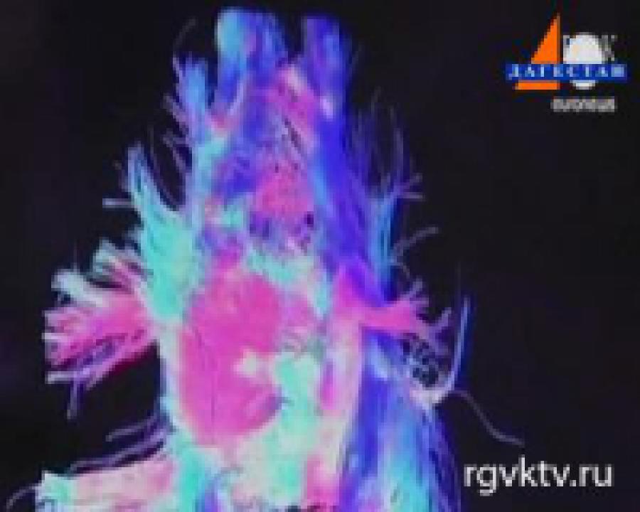 Мусор стал энциклопедией