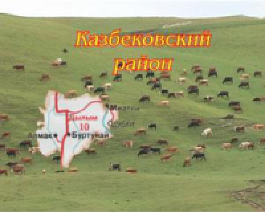 Проект "Отражение". Дагестан - мой край родной