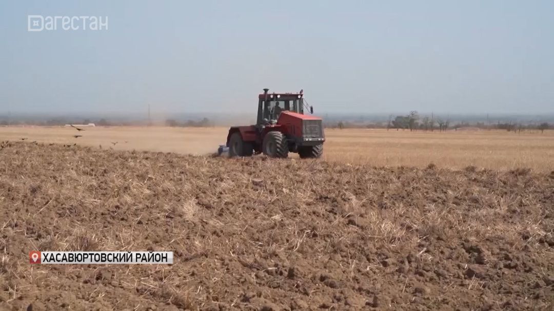 Сельхозпроизводители Хасавюртовского района  готовятся к осеннему севу озимых 