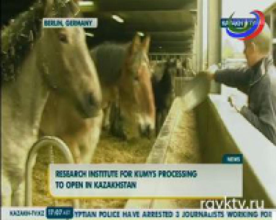 В Казахстане откроется НИИ по изучению свойств кумыса