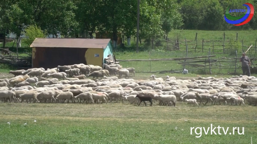 Агросектор