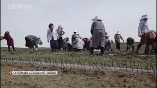 В Сулейман-Стальском районе обсудили агро-проекты